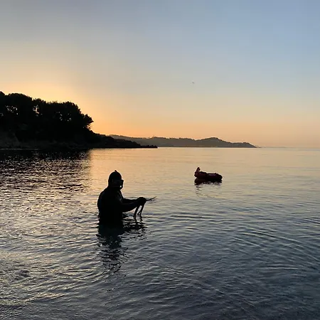 Pleine Hébergement de vacances *