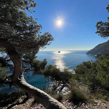 Pleine Hébergement de vacances La Seyne-sur-Mer